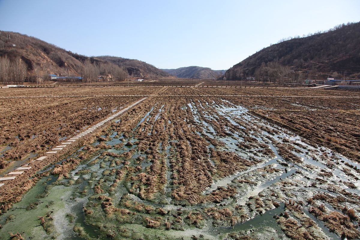 能弹南泥湾相当于几级水平帮我用200字详细描述
