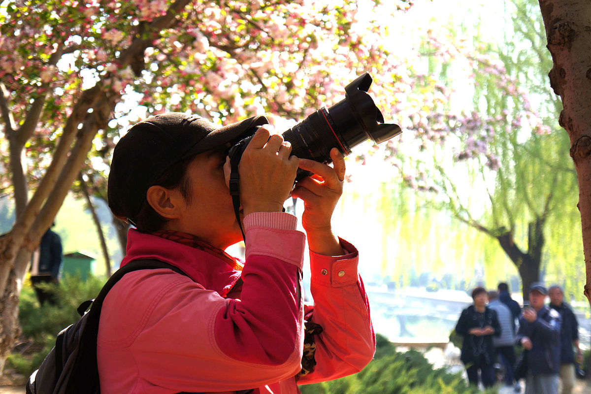 2020年北京市海淀区职业学校招生简章 | 报名时间、专业、计划、流程