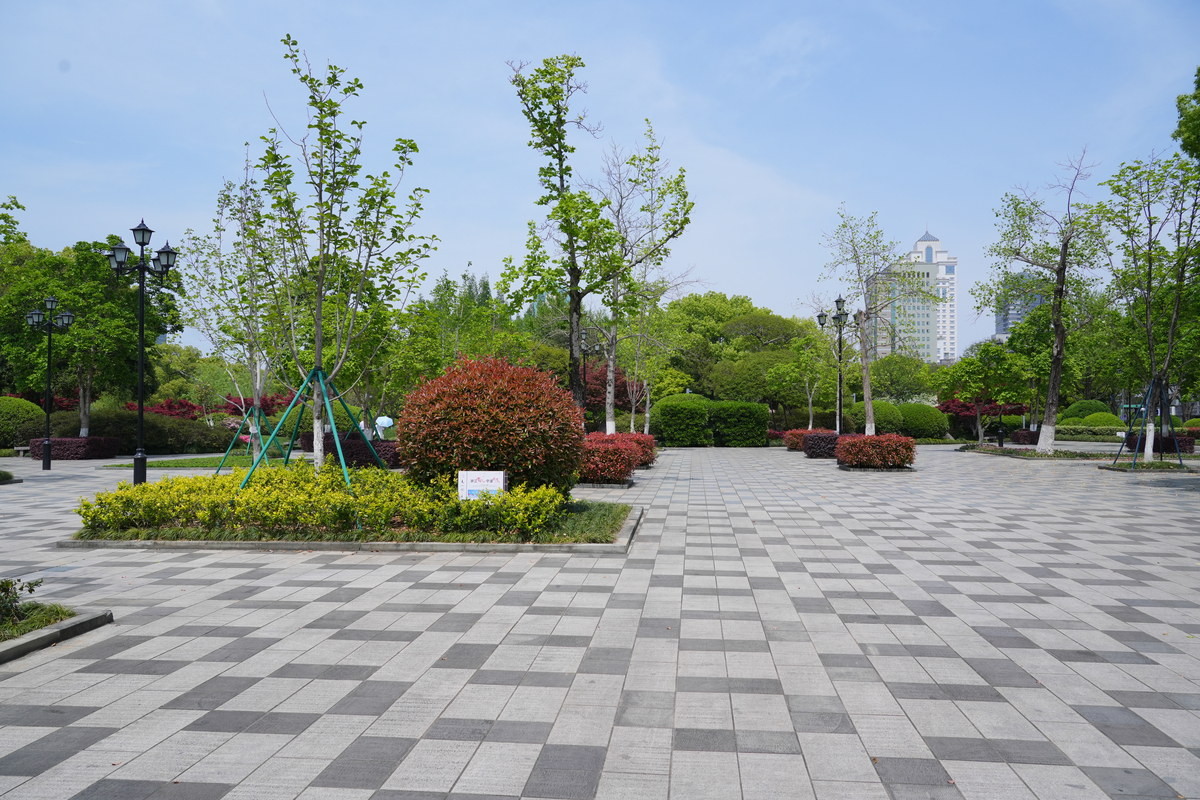 Translate to traditional chineseGroundsThe property is situated to the front of an average-sized mostly level site with gardens to the front andrear The front grounds are laid to asphalt driveway conc