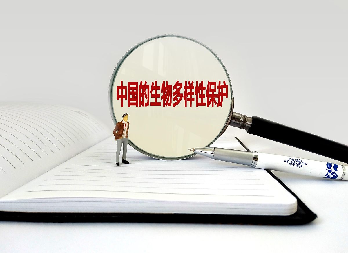 商业配图:中国的生物多样性保护