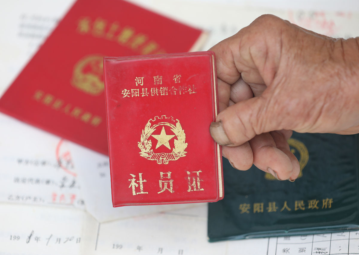 上海退休证最新规定：查询指南