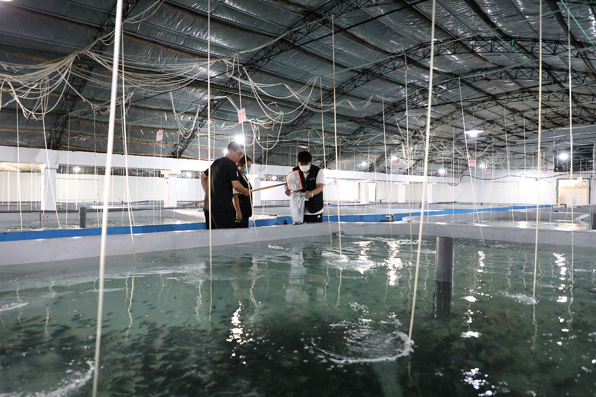 水产养殖：研究领域全面解析