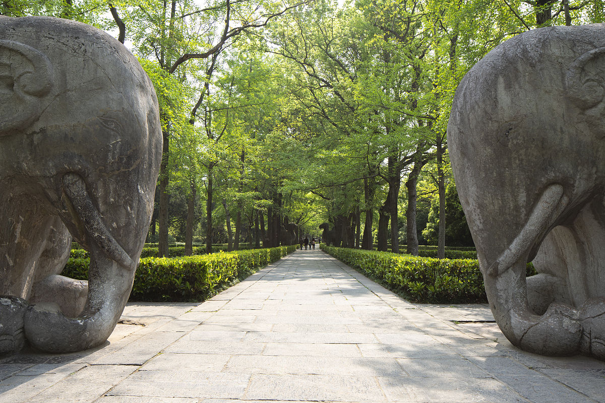 南京旅游营养中等专业学校2020招生简章
