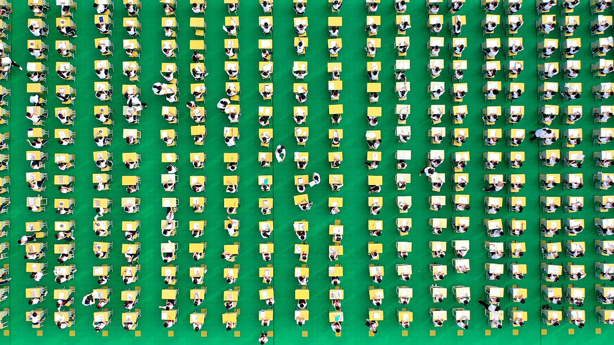 20个带'绿'字的四字词语，美不胜收！