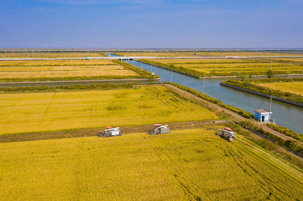 劳动的平均产量和边际产量：概念与应用