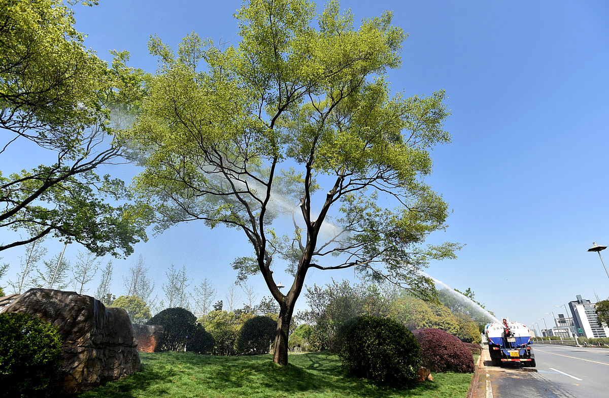 临洮农业学校园林技术专业怎么样