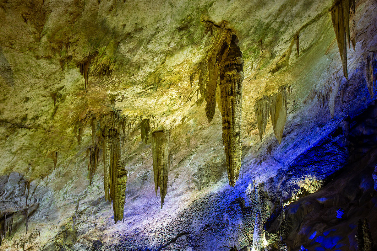 织金中等职业学校2023年招生简章