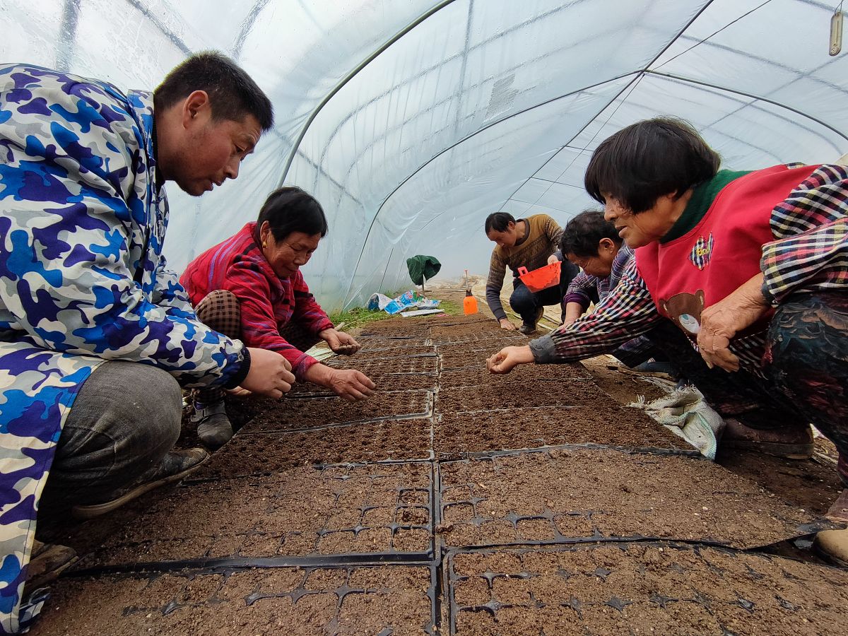 软件需求管理：用例方法应用案例分析