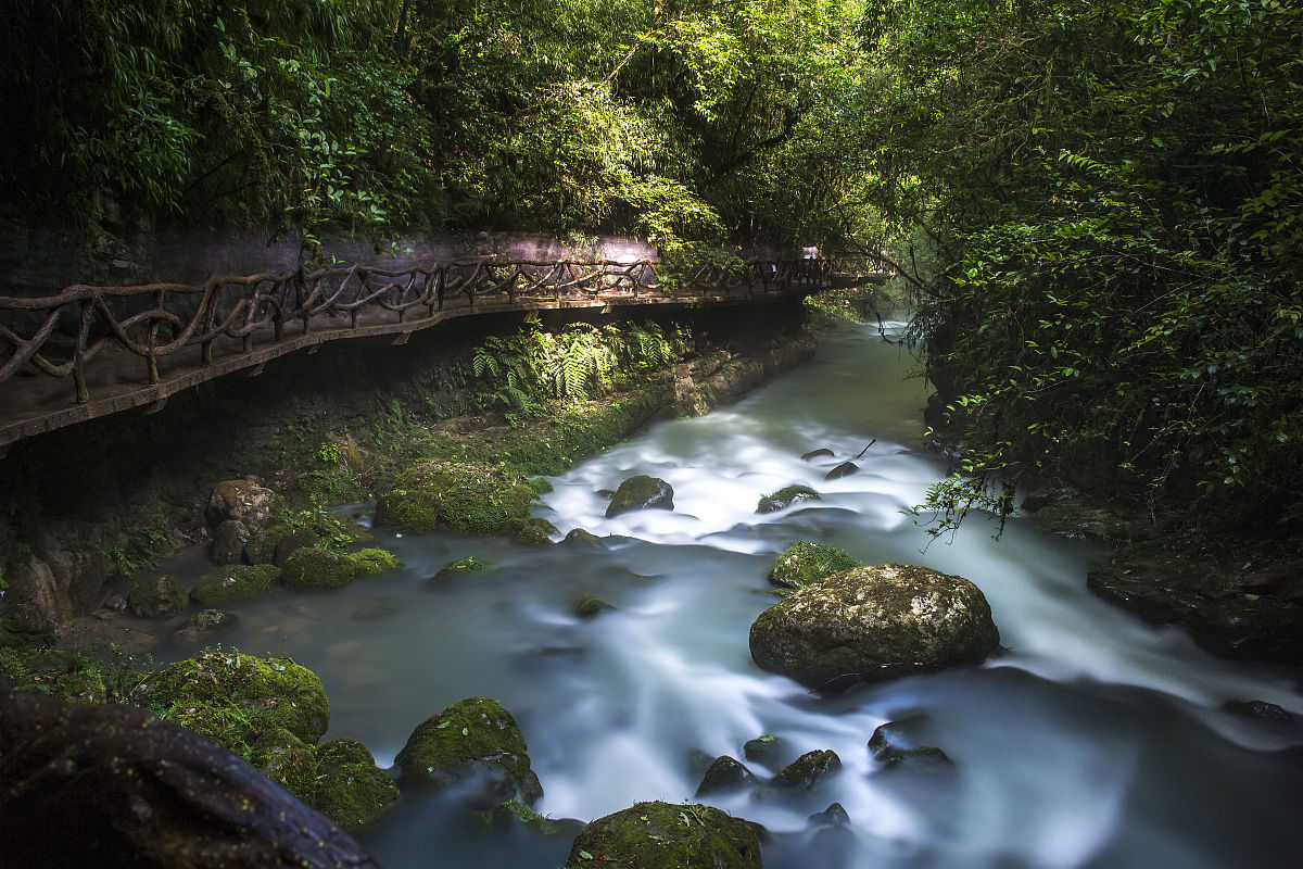 四川文轩职业学院2019年招录要求