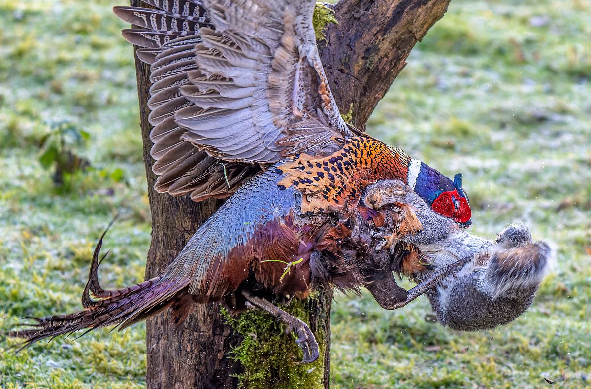 河南省经贸工程技术学校的服装设计与营销行业优势