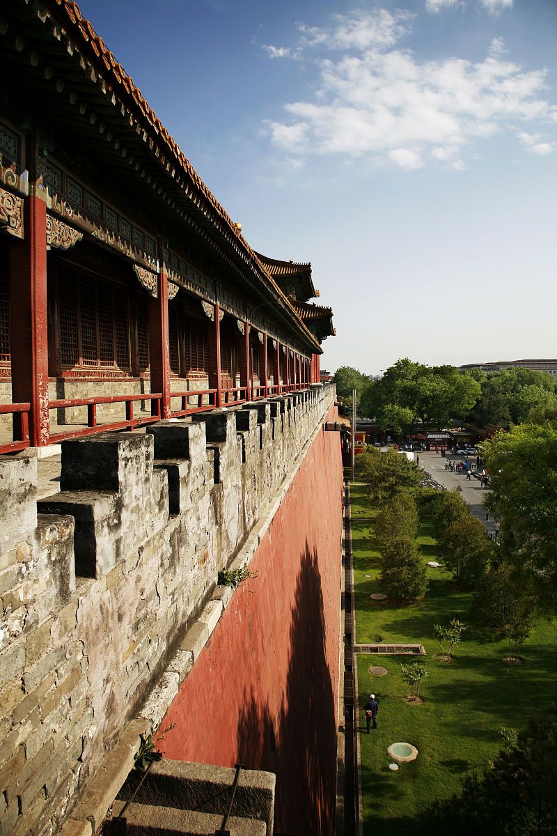 历史教育专科课程有哪些？培养你的历史素养和学科能力