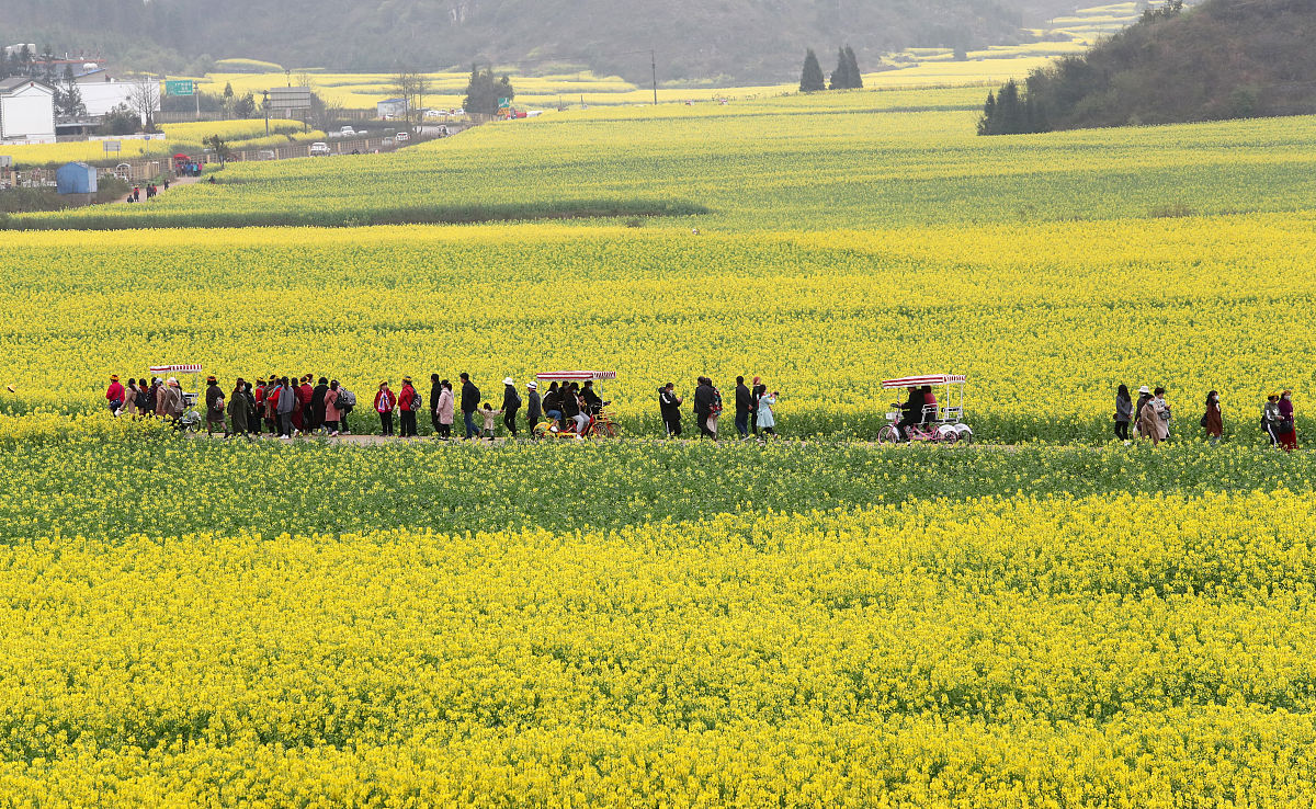 曲靖农业技术学校2019年初中起点大专新增招生专业