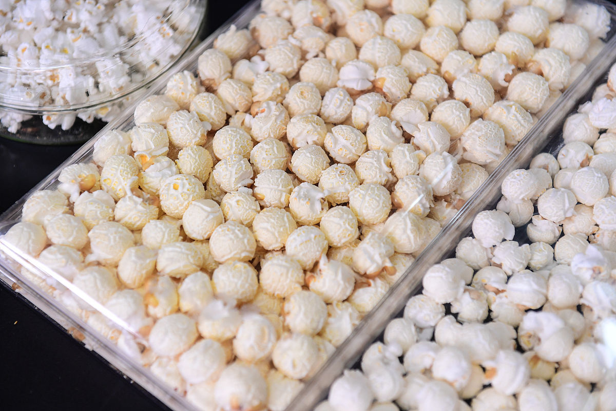 沈阳科技学院2022年奖助政策