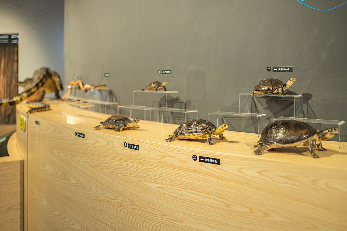 烟台水产职工学校就业情况及发展前景 - 培养水产行业人才的摇篮