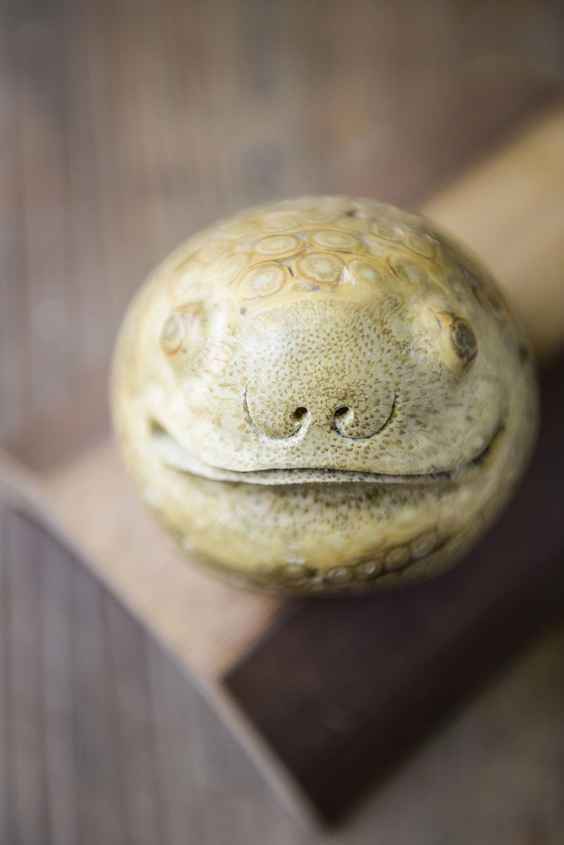 2023年余庆中等职业学校招生简章 - 优质职业教育，成就精彩未来