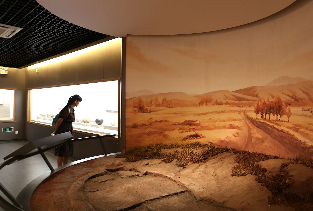 请写一份关于参观水利博物馆的社会实践报告不少于五千字