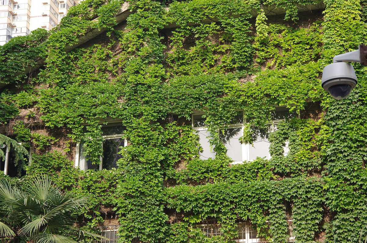 贵阳卫生学校五年制大专：医学人才培养的特色与未来