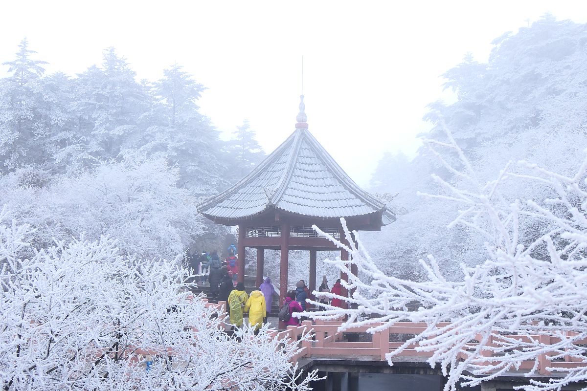 四川乐山防水防腐保温专业承包二级办理转让 - 乐山市鑫达防水保温材料有限公司