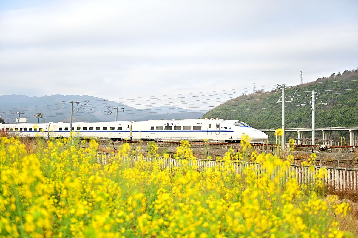 贵州省高铁中专学校现状及发展建议