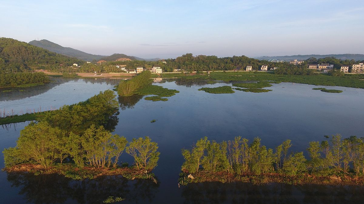 湿地是水陆相互作用形成的独特生态系统它覆盖地球表面仅有6却为地球上20的已知物种提供了生存环境。滨海湿地作为湿地的重要组成部分分布于海岸带地区在调节气候、涵养水源、防护风暴、维持区域水平衡、净化环境、保护生物多样性和为人类提供生产、生活资源等方面有着不可替代的作用。与此同时滨海湿地又是受多圈层交互作用最为强烈的生态系统之一。
