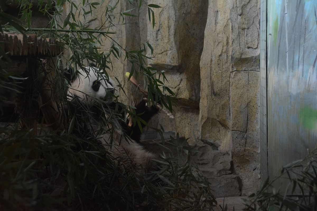 数学模型：科学穿衣指南，不同气温如何搭配？