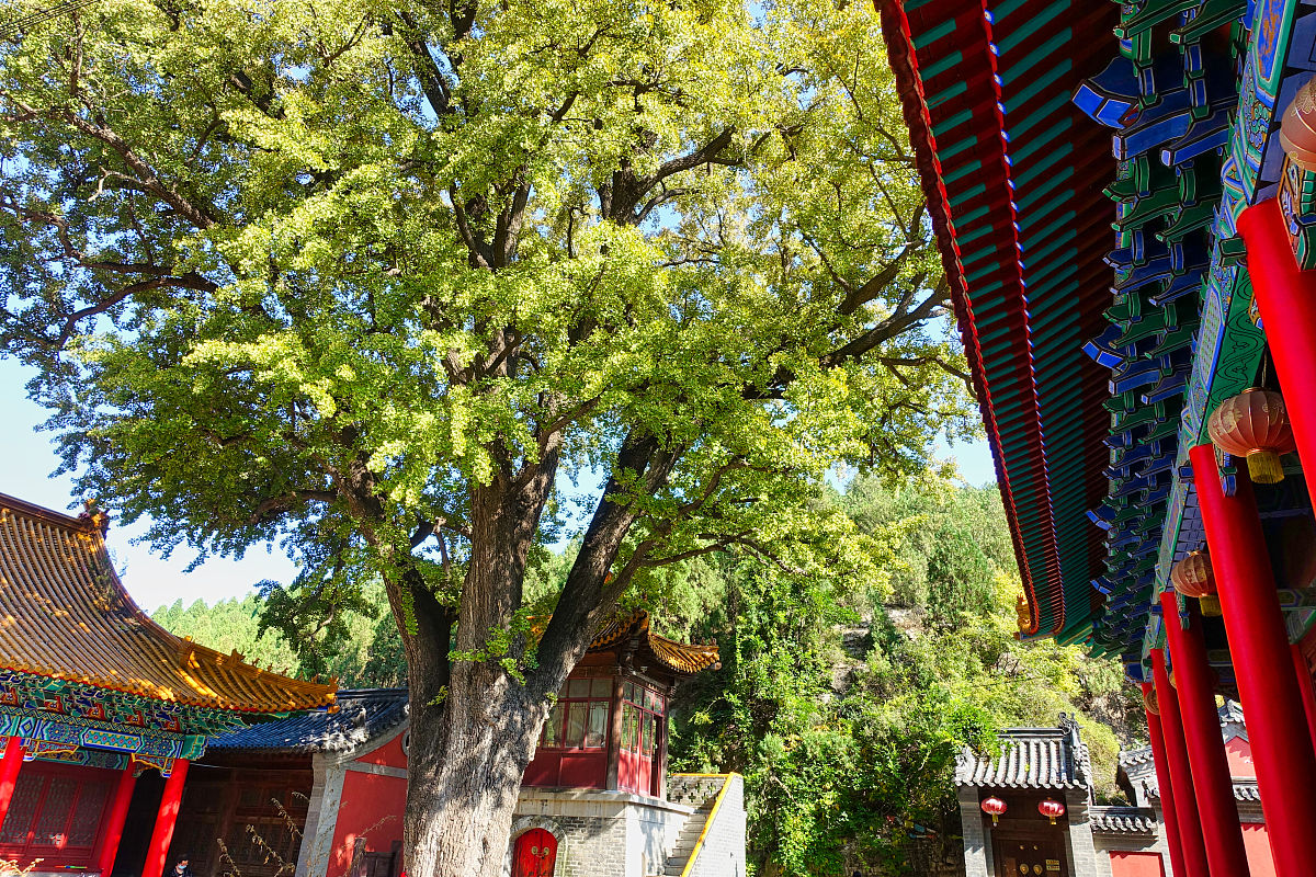 山东力明科技职业学院地址及乘车路线 - 济南市历城区