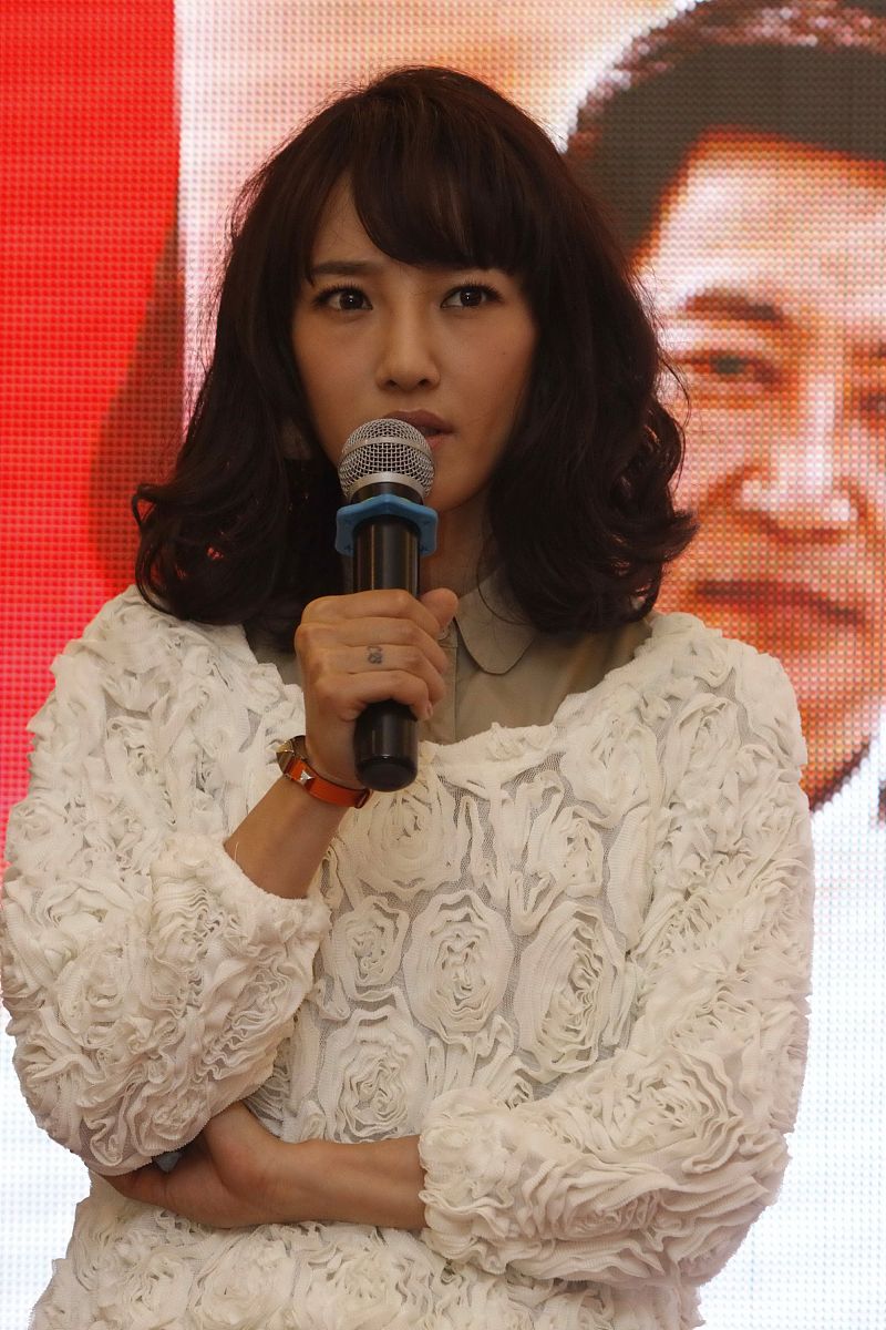 2011年5月23日,北京, 电视剧《家,n次方》在京举行了热播发布会. 白百