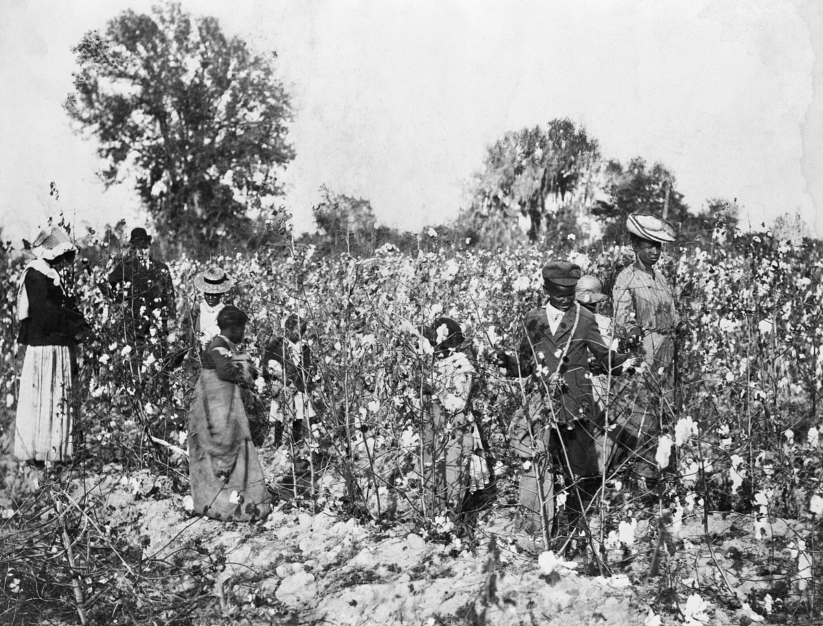 根据下列文章改写并续写800字左右。18世纪末在法国殖民统治下的越南一对法国夫妻只花了1美金就雇佣到一名越南本地女人用母乳喂养自己的宠物狗。