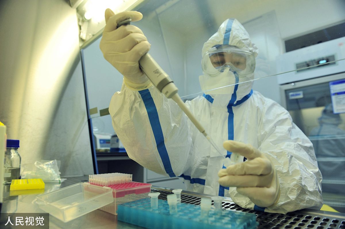 模型评估结果：肿瘤和正常样本模型分数存在显著差异
