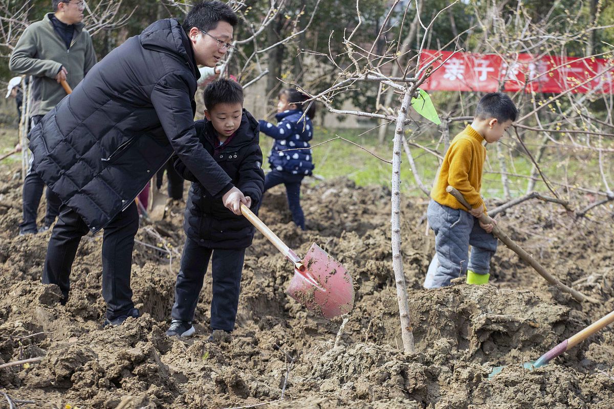 核桃种植中如何进行素质教育