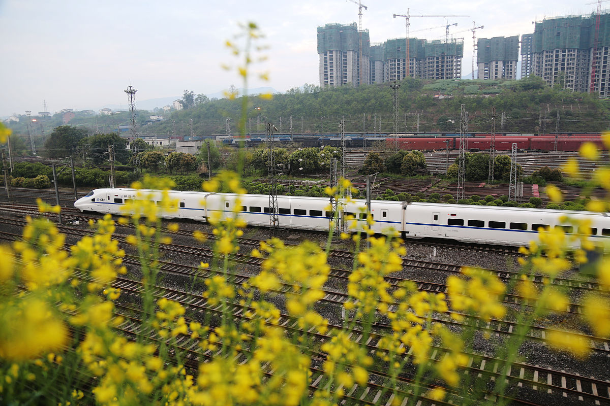 达州财贸学校2019年招生简章 - 高职院校热门专业招生