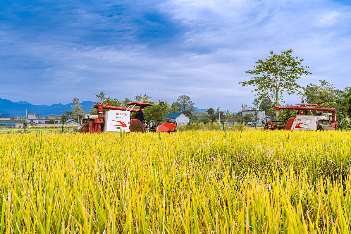 四川现代职业学院五年制大专数控技术专业怎么样好就业吗