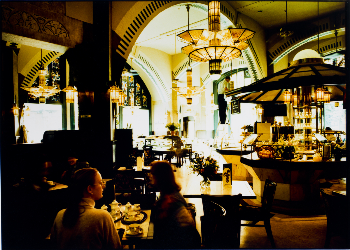 Drogheria della Rosa: Authentic Italian Cuisine in Bologna