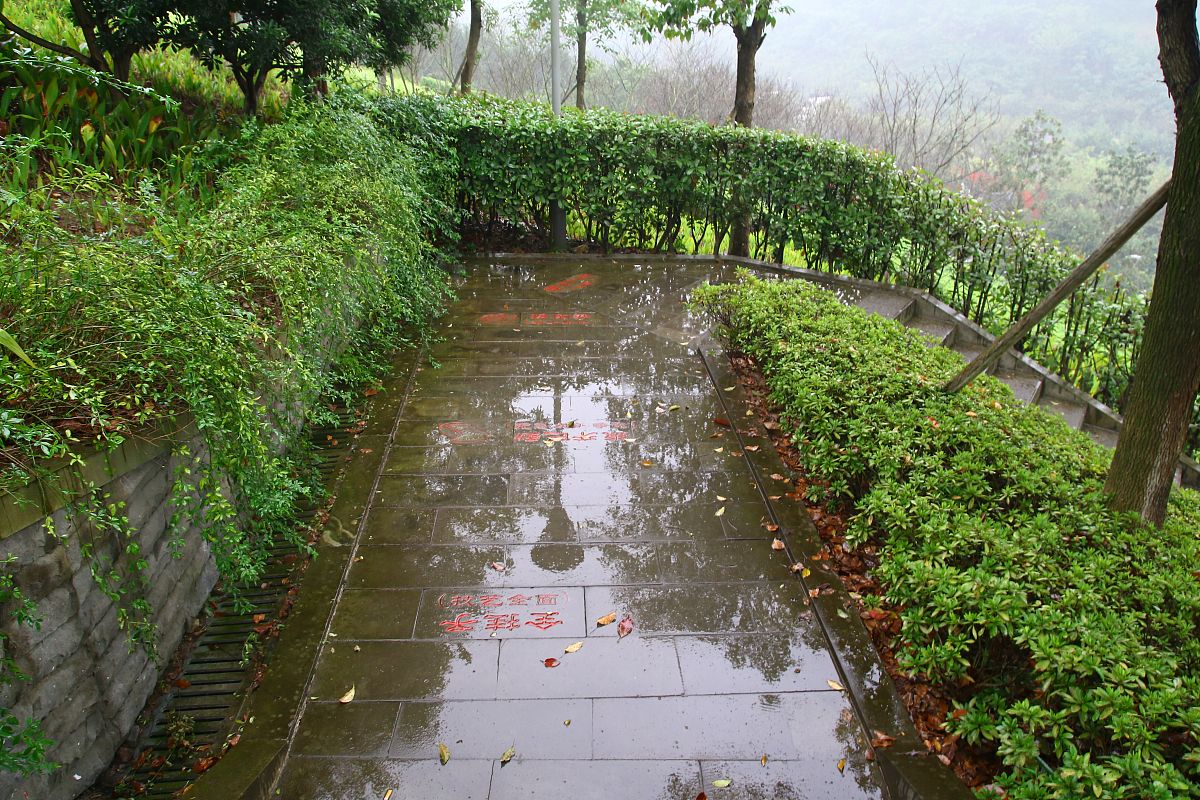 台州传统方言：传承与发展 | 守护家乡语言