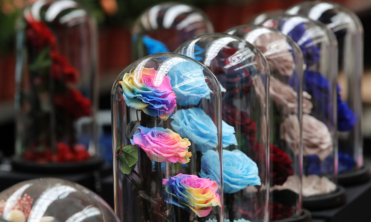 扩写并润色：果然没错是樱桃种子的进化型——樱花儿。这是一种根据天气的不同拥有两种不同形态的小精灵如果感受到强烈的阳光它就会绽放合起来的花瓣活力满满的沐浴在阳光之下。它还有着非常适合双打对战的特性：花之礼。拥有该特性的小精灵在晴朗天气时自己与搭档的攻击和特防能力都可以得到提高。小鬼对这次道馆战斗做了非常充足的功课但当他看到菜种的另外一只小精灵时还是发现自己遗漏了。是叶伊布！我居然忘了先前在白岱森林见