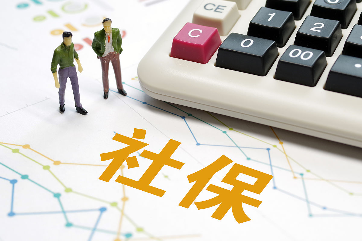 社会保障税与商业保险并行：满足均等化与激励性目标