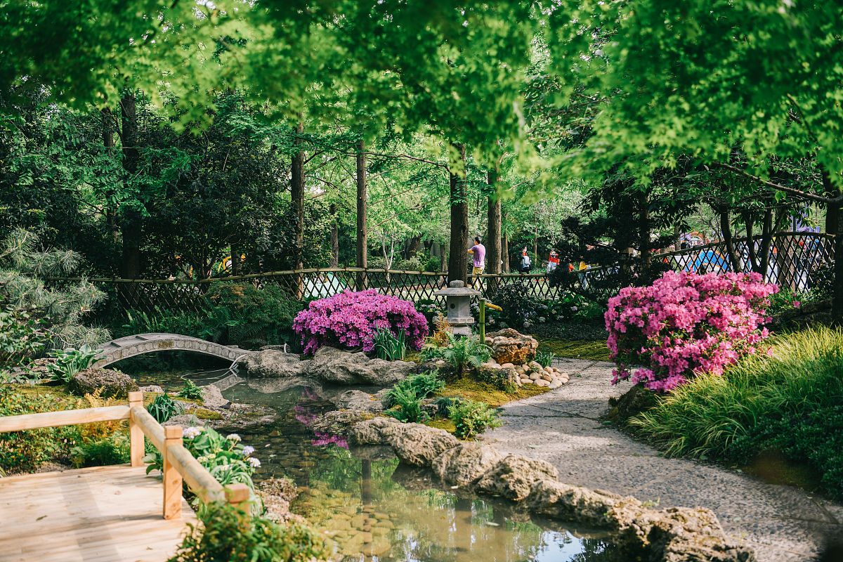上海植物园游览感悟：探秘自然之美，感受生命奇迹