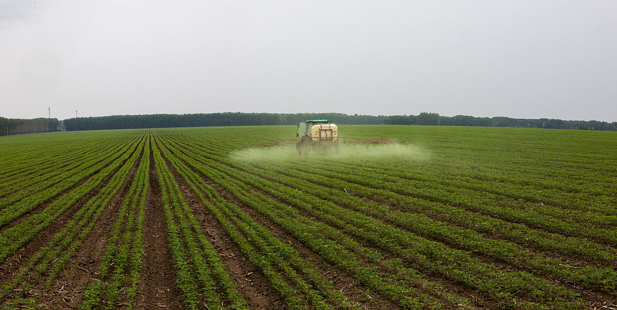 黑龙江农垦职业学院种子生产与经营专业就业方向：如何选择适合你的路？