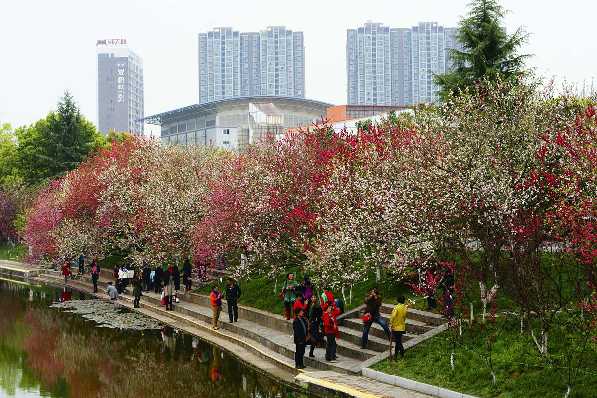 重庆三峡联合职业大学市场营销专业怎么样？优势解析