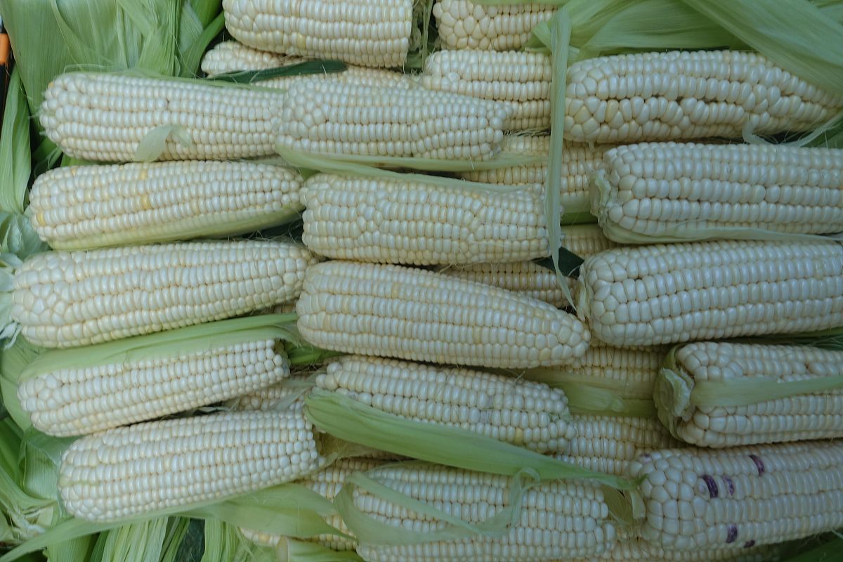 云南第三化工技工学校2022年工业造型专业招生简章