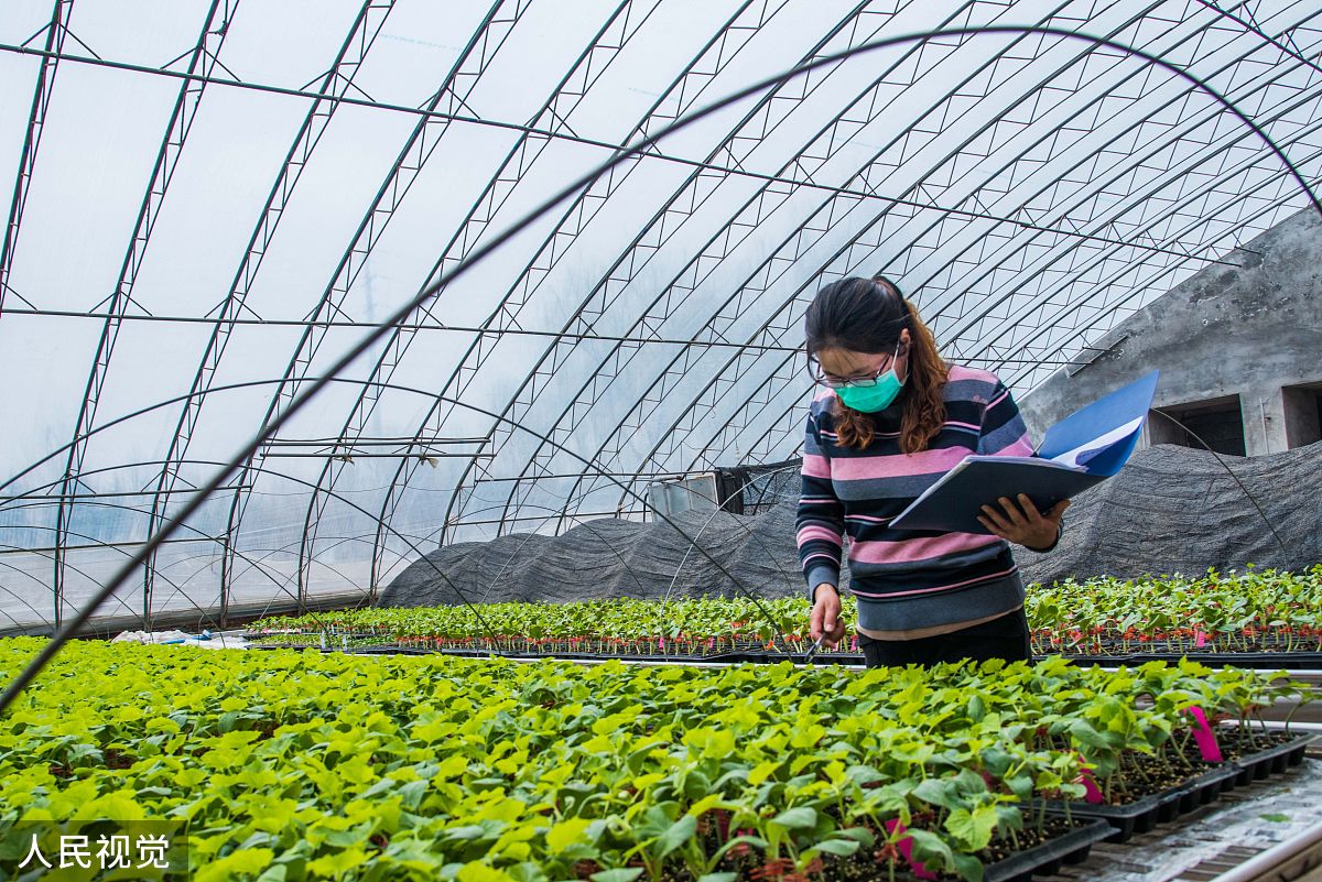 山东潍坊工业学校：办学层次及未来发展方向