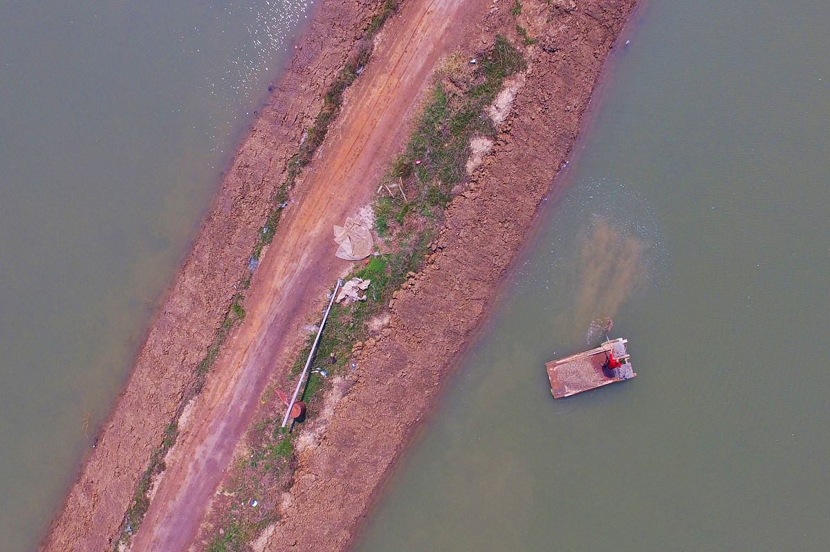 水产用金菌：提高养殖效益的微生物制剂