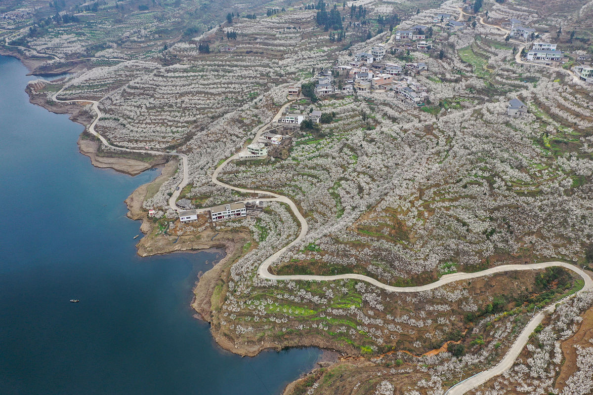 2019年织金精诚中等职业学校招生简章