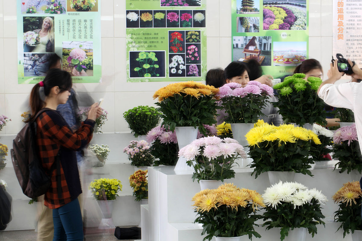 南京农业大学有哪些学院？