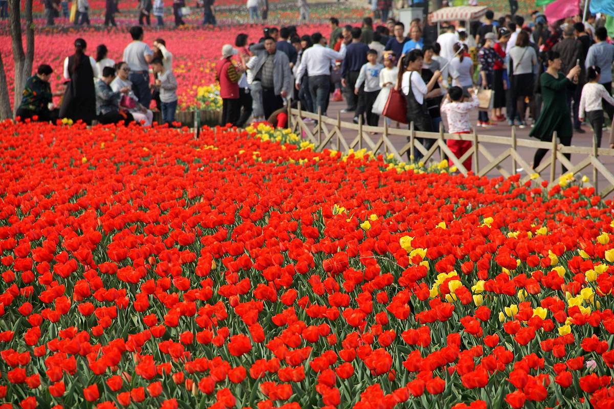 连云港中医药高等职业技术学校2020年招生简章