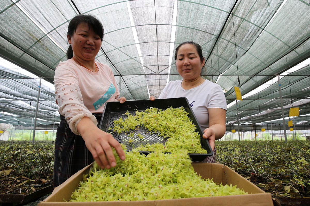2019年四川中医药专科学校哪些专业好？「简介」