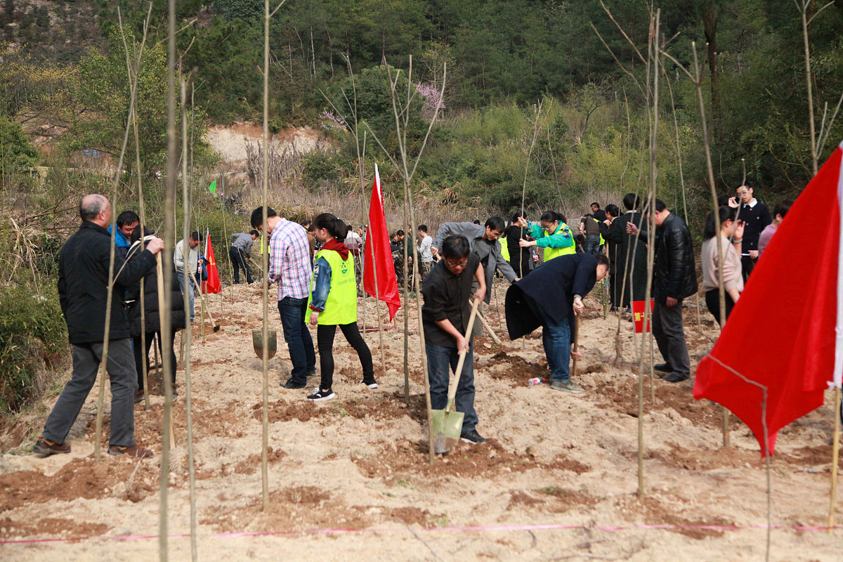 三下乡社会实践团队活动心得总结 - 深入农村，收获成长