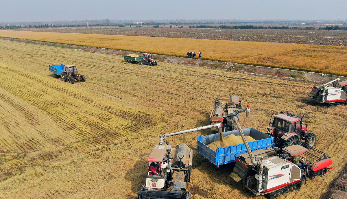 2023年盐城生物工程高等职业技术学校五年制高职普通大专专业简介