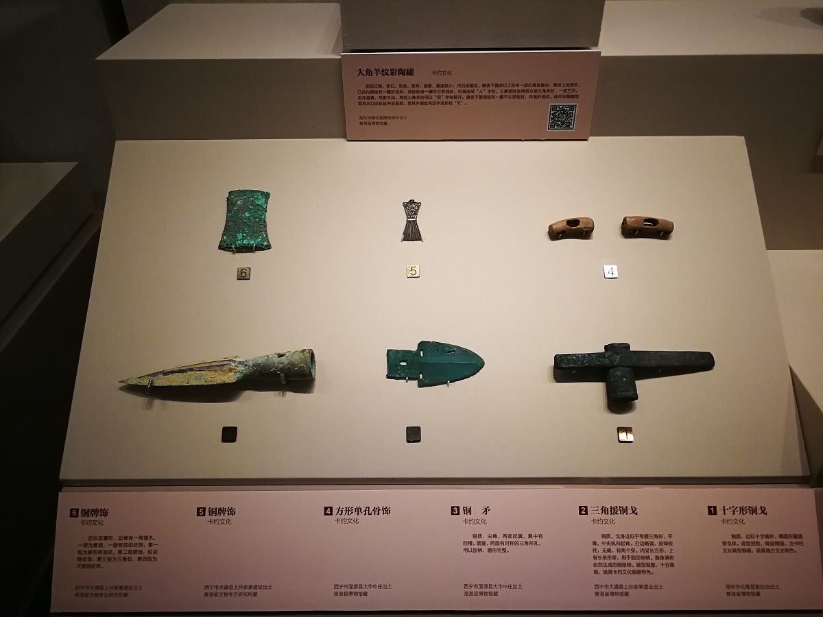 我的生物地理信息采集上面需要我的手机号码 然后我输了我的手机号码是11位 但是上面显示是错误的