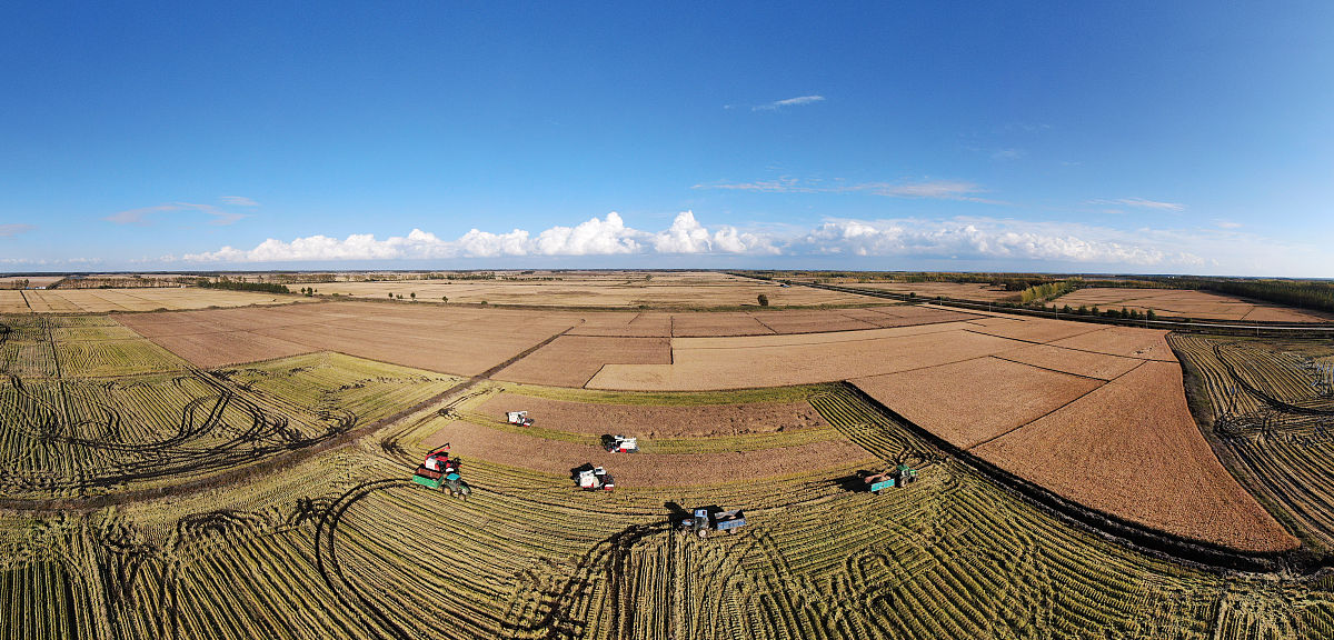 黑龙江农垦职业学院医学检验技术专业就业前景分析